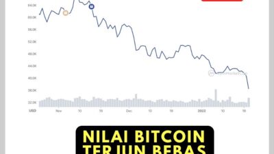 cypto bitcoin jatuh bebas